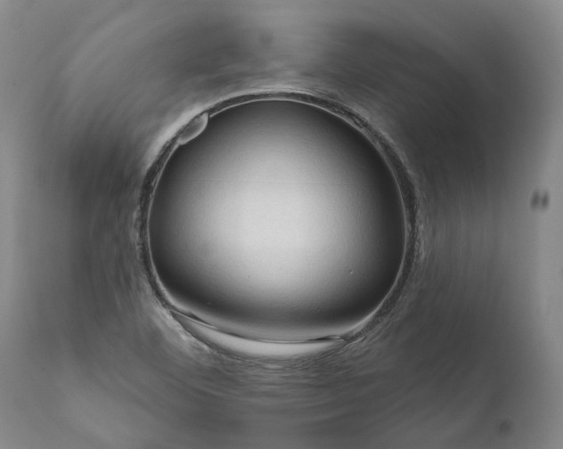 X0000111201460200907151402