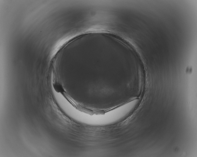 X0000111201461200907151402