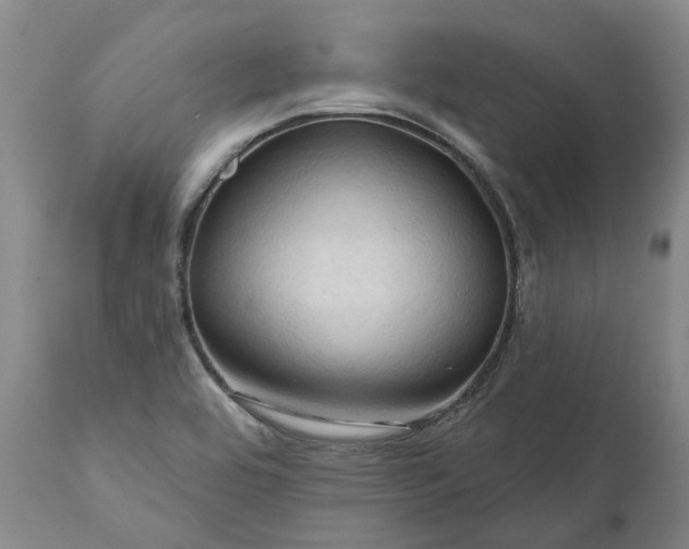 X0000111201464200907151402