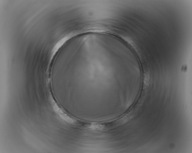 X0000111201466200907151402