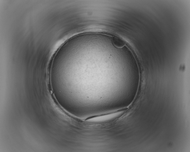 X0000111201467200907151401