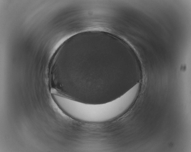 X0000111201468200907151401