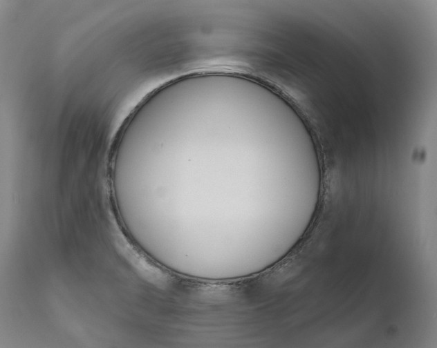 X0000111201470200907151401