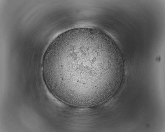 X0000111201471200907151401