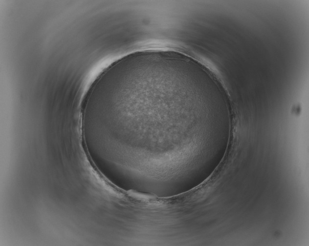 X0000111201472200907151401