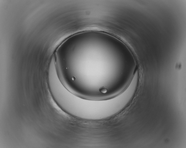 X0000111201476200907151401