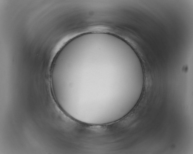 X0000111201478200907151401