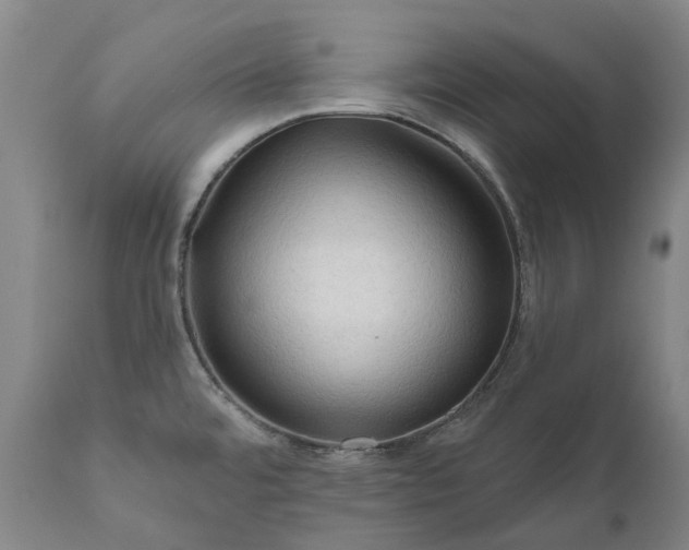 X0000111201480200907151401