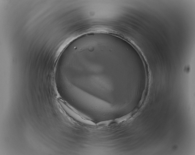 X0000111201481200907151401