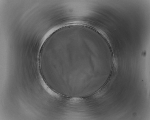 X0000111201482200907151401