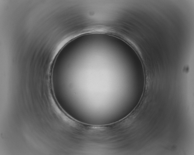 X0000111201483200907151401