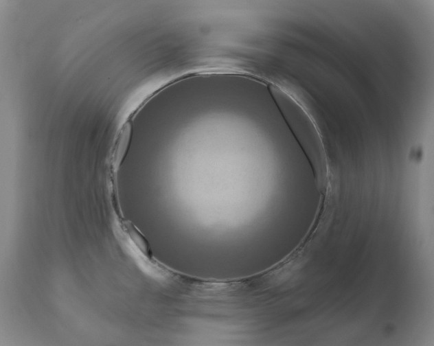 X0000111201485200907151401