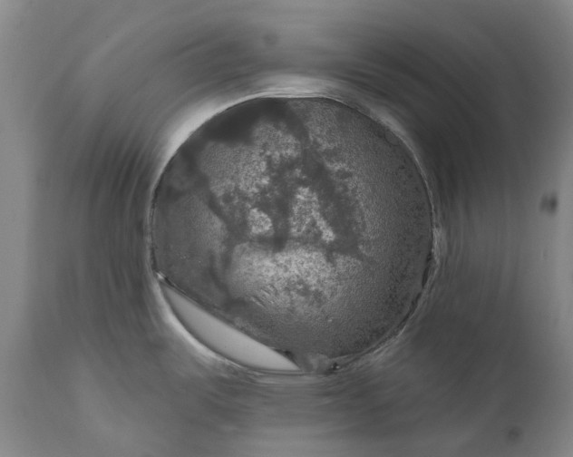 X0000111201487200907151401