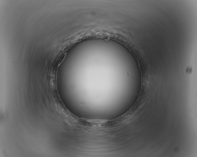 X0000111201490200907151400