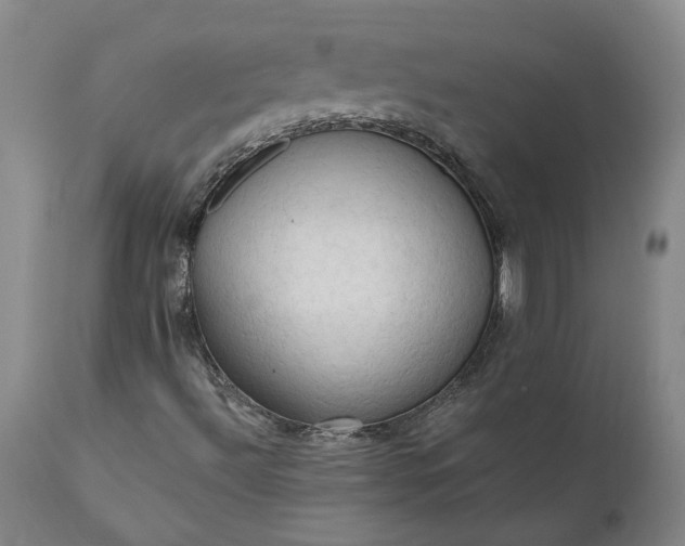 X0000111201492200907151400