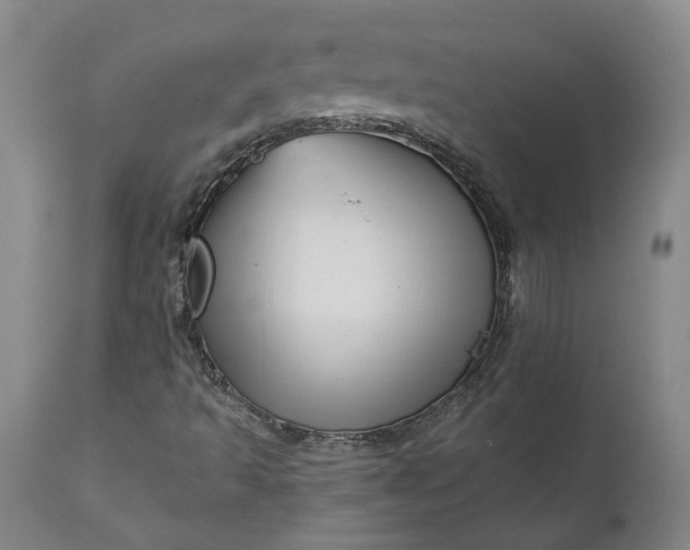 X0000111201493200907151400