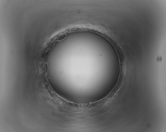 X0000111201494200907151400