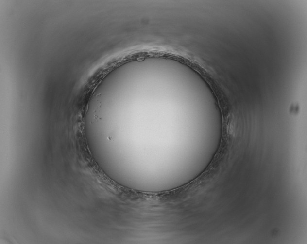 X0000111201495200907151400