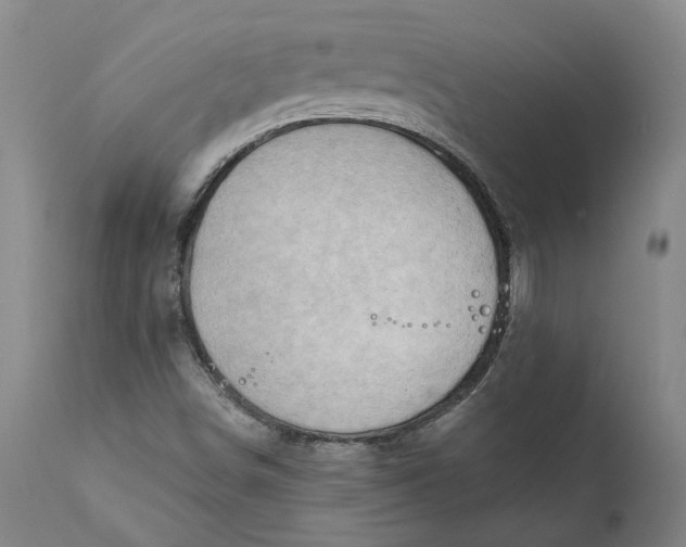 X0000111201498200907151400