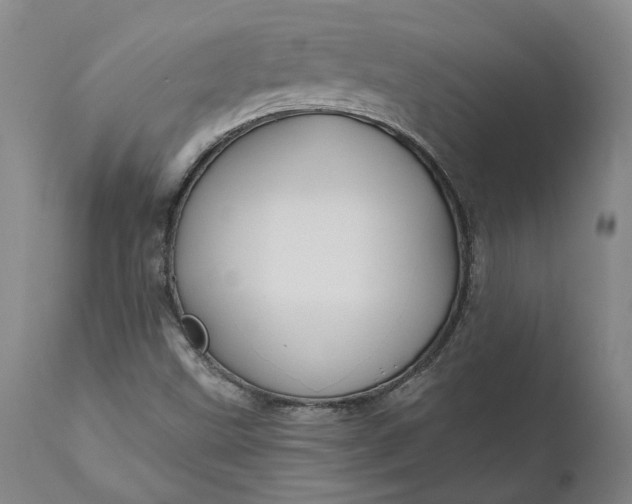 X0000111201499200907151400