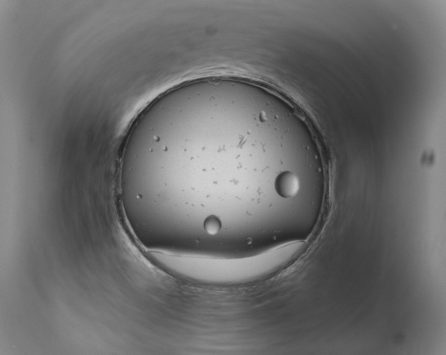 X0000111201500200907151400