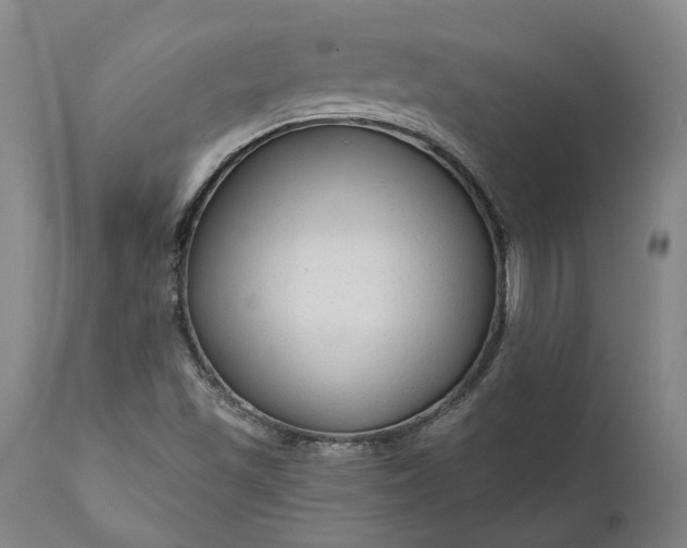 X0000111201501200907151400