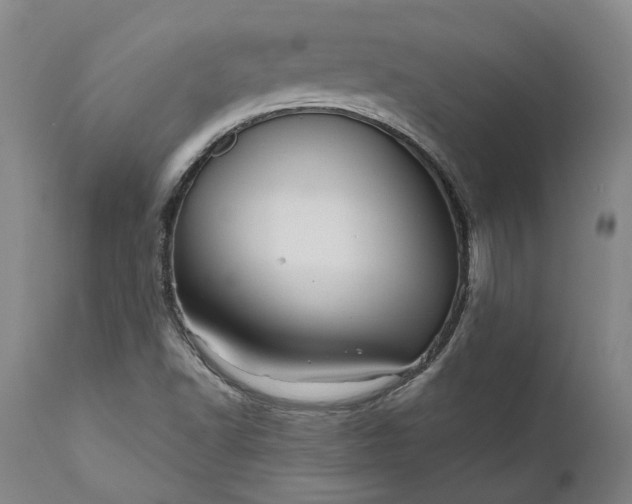 X0000111201502200907151400