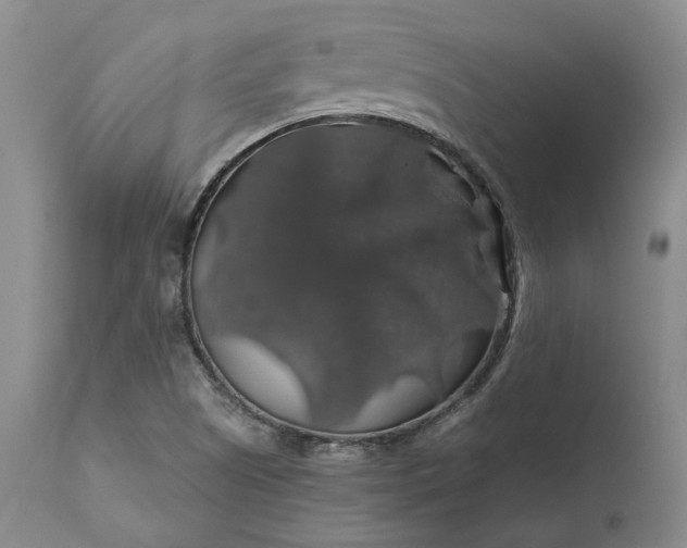 X0000111201505200907151400