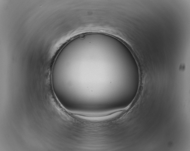 X0000111201507200907151400