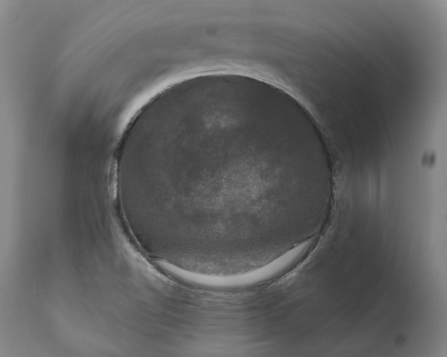 X0000111201510200907151400