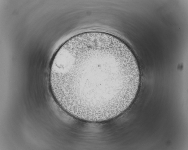 X0000111201514200907151400