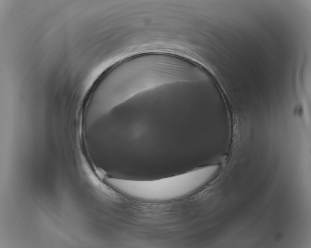 X0000111201515200907151400