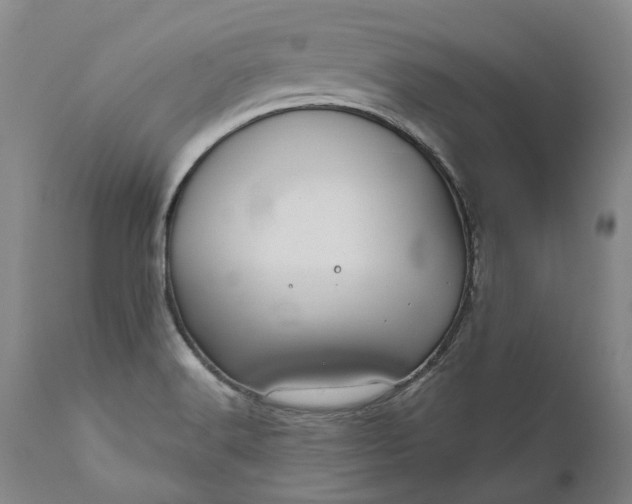 X0000111201516200907151401