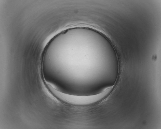 X0000111201518200907151401