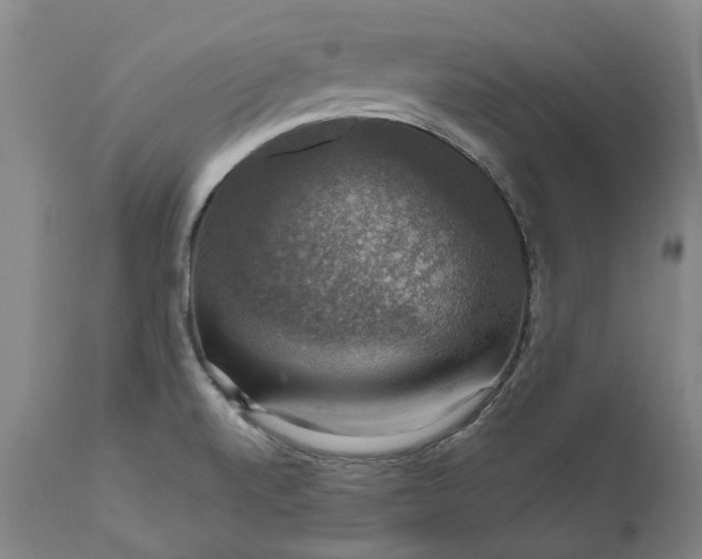 X0000111201520200907151401