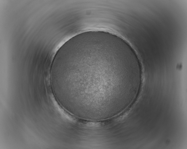 X0000111201521200907151401