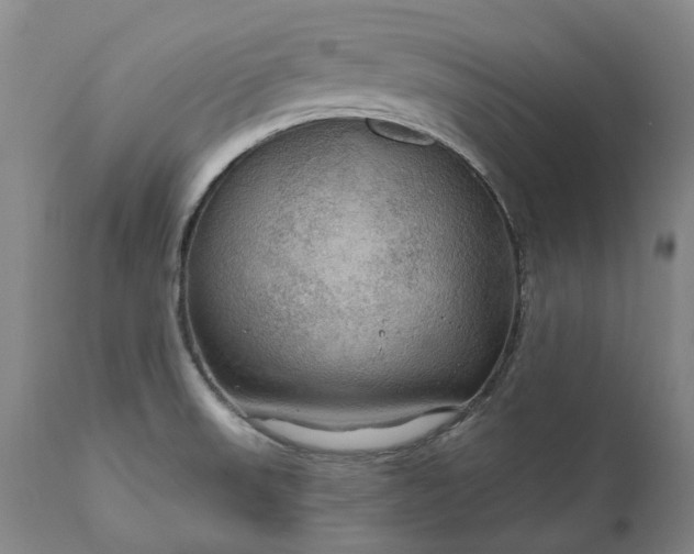 X0000111201523200907151401