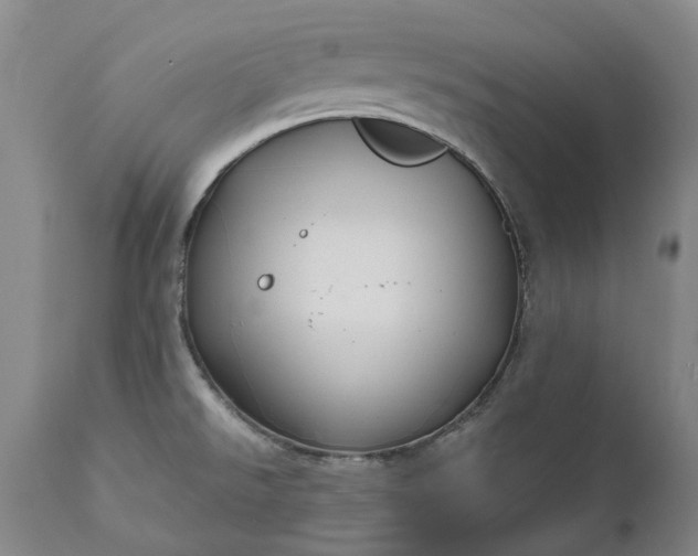 X0000111201526200907151401