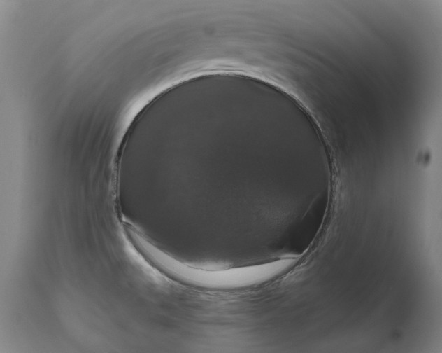 X0000111201527200907151401