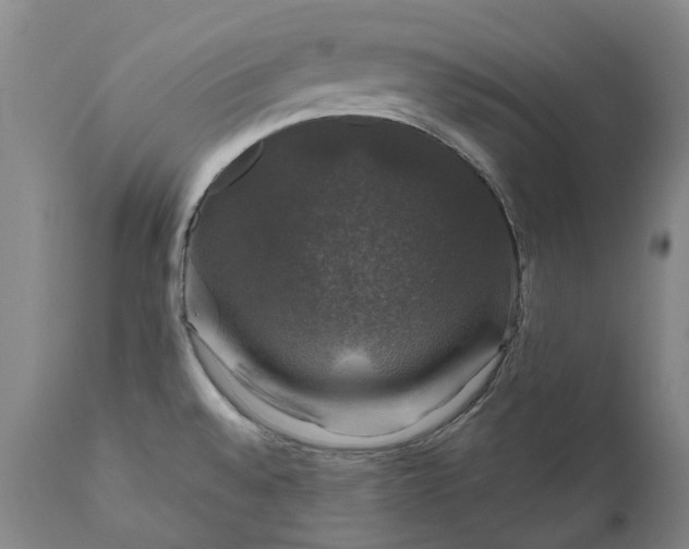 X0000111201528200907151401