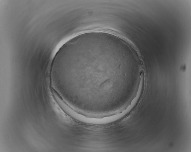 X0000111201530200907151401