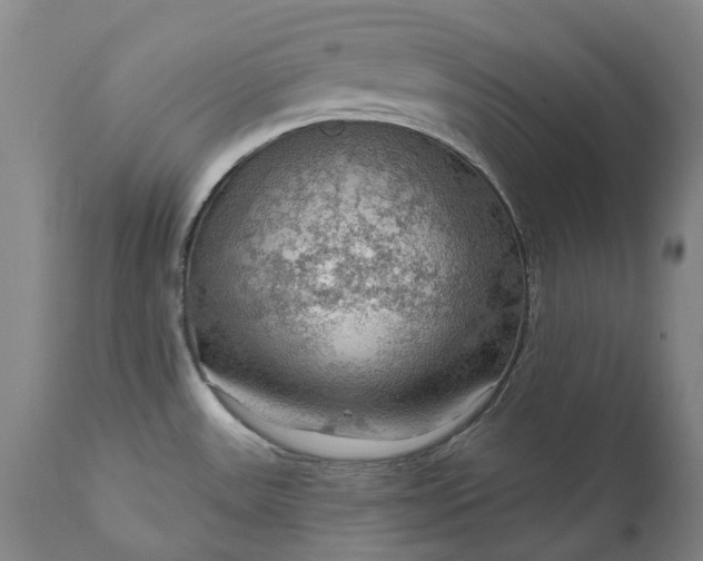 X0000111201531200907151401