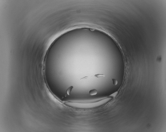 X0000111201535200907151401