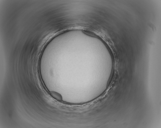 X0000111200001200907221140