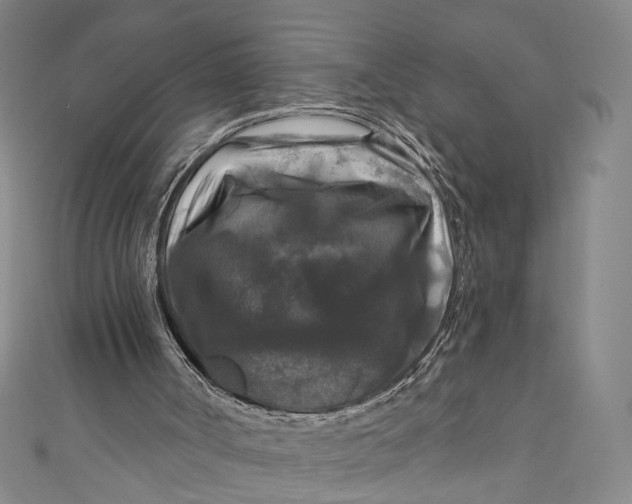 X0000111200002200907221140