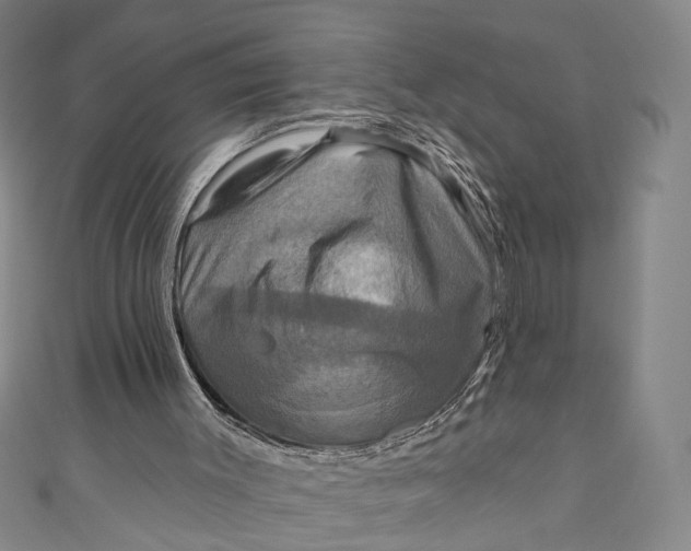 X0000111200003200907221139