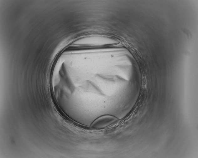 X0000111200004200907221139