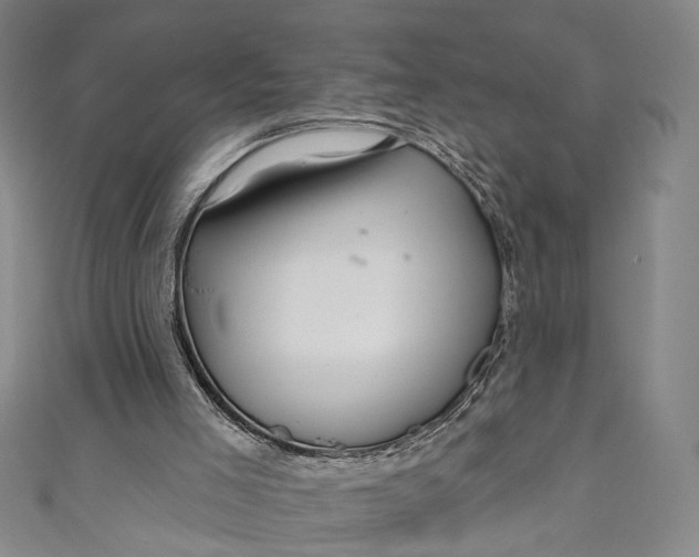 X0000111200005200907221139