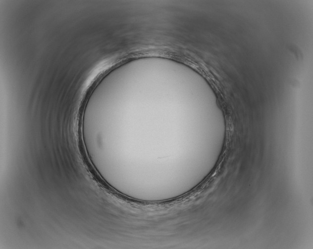 X0000111200006200907221139