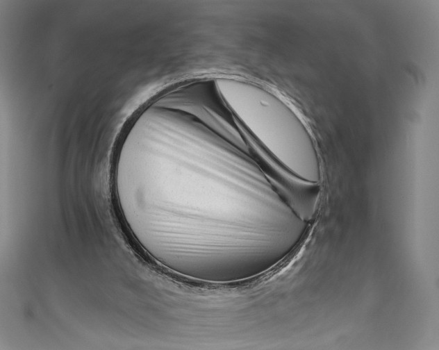 X0000111200008200907221139